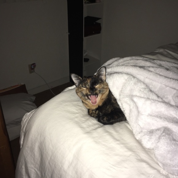 Ab me - Picture 4 of 8